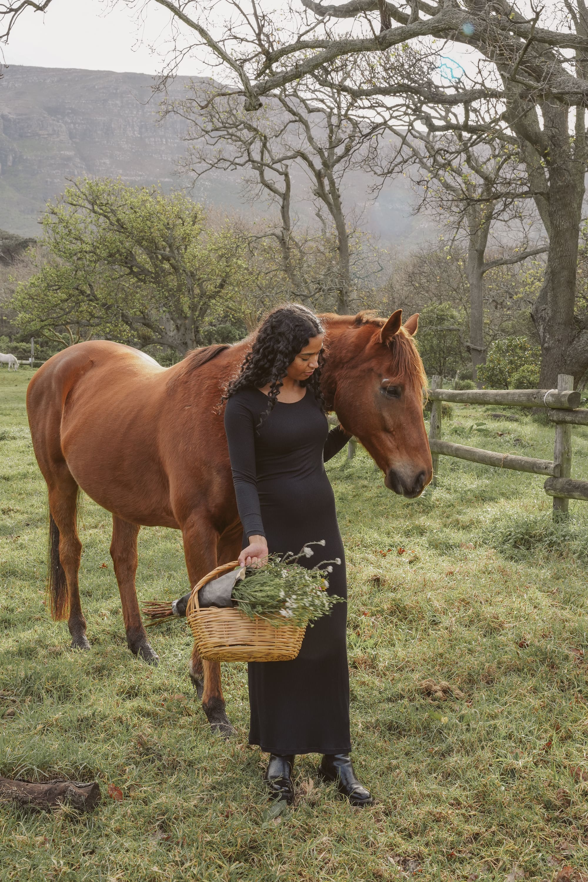 Rib Dress - Image 5