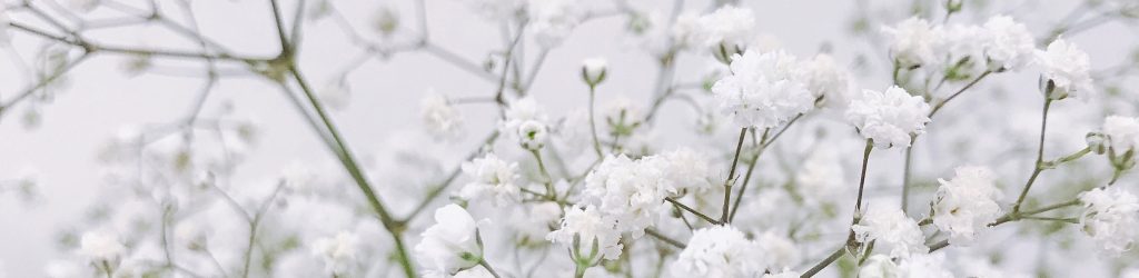 flowers flowers